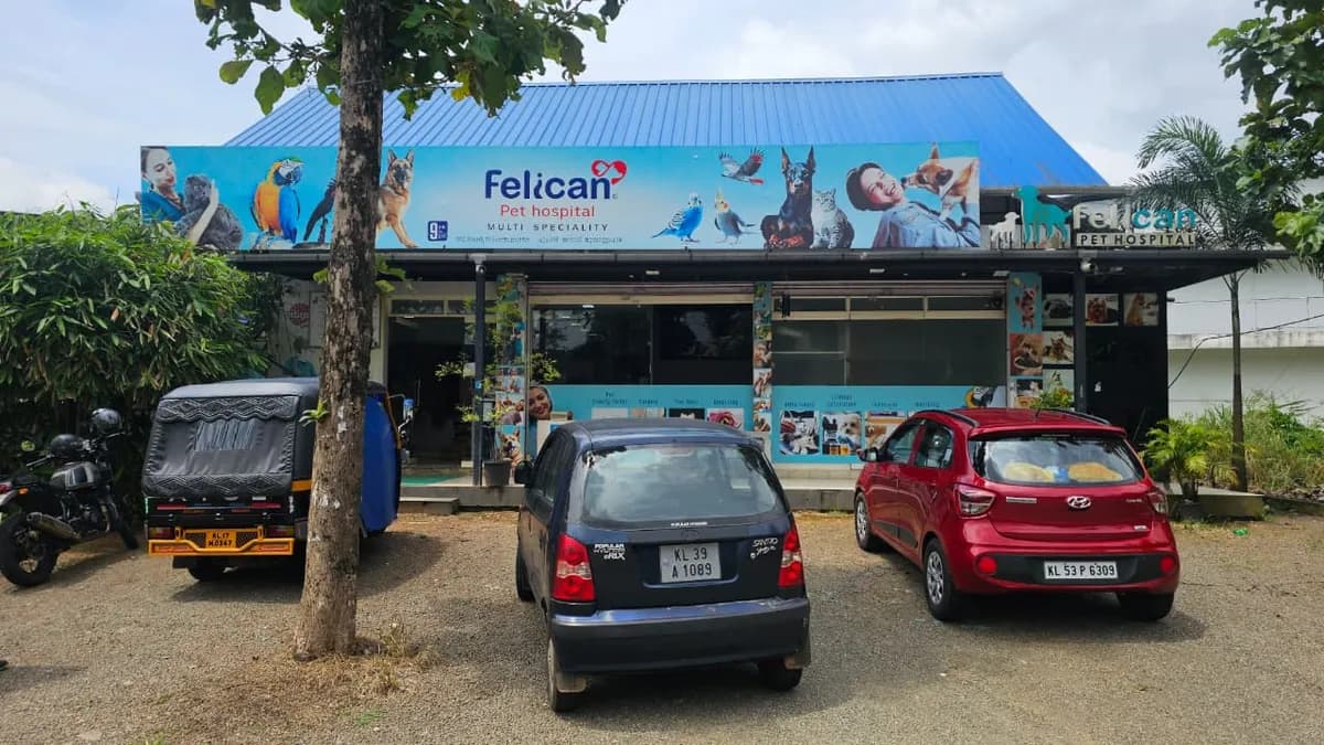 Felican Pet Hospital